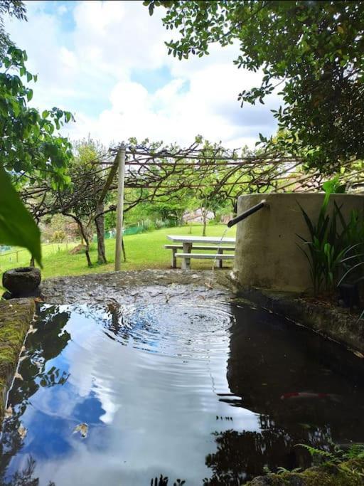 A Vina De Lina. Turismo Rural Con Piscina Y Finca. Pontevedra Extérieur photo