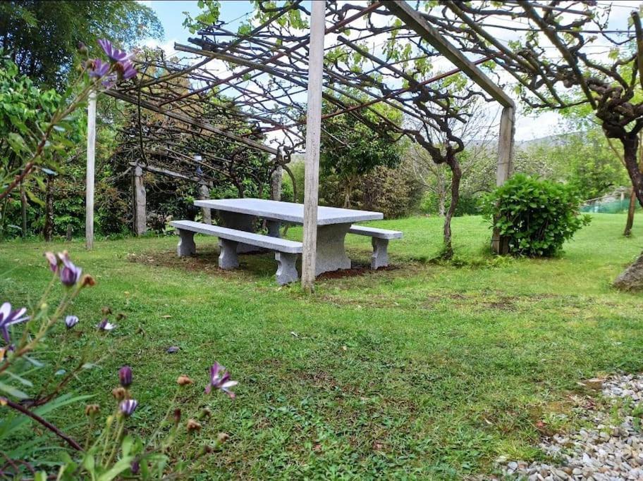 A Vina De Lina. Turismo Rural Con Piscina Y Finca. Pontevedra Extérieur photo